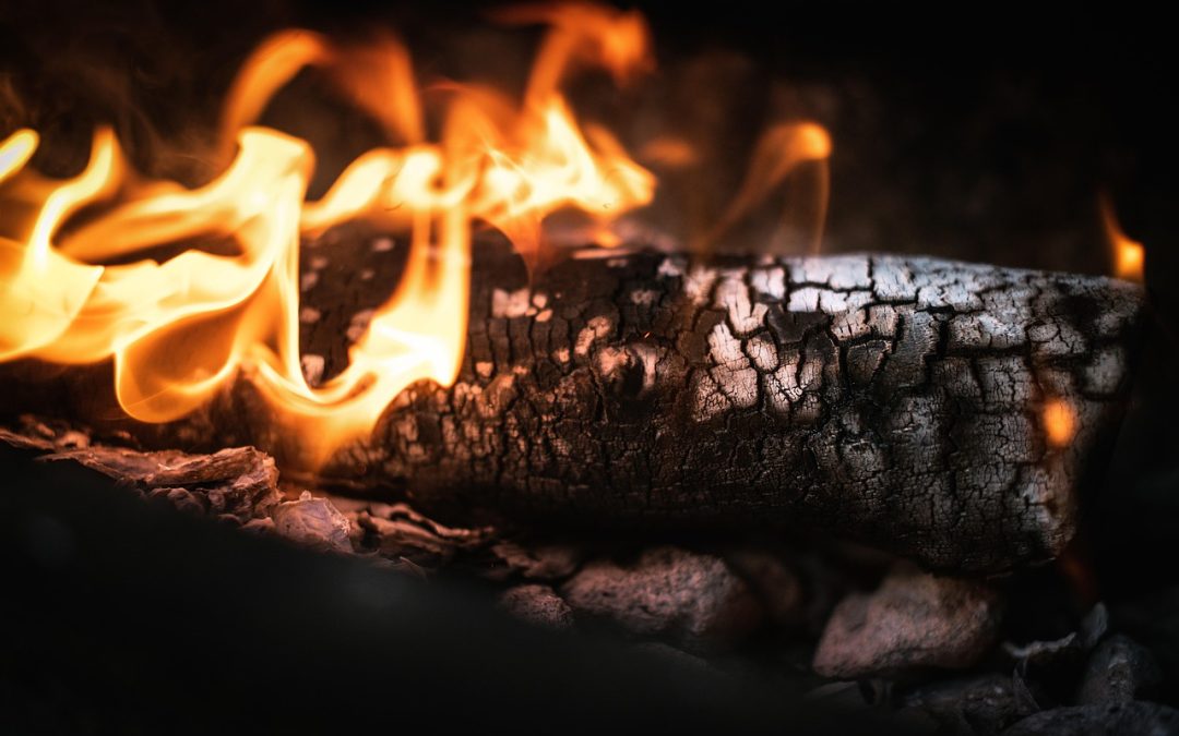 Pemadaman Cepat di Hutan Kota